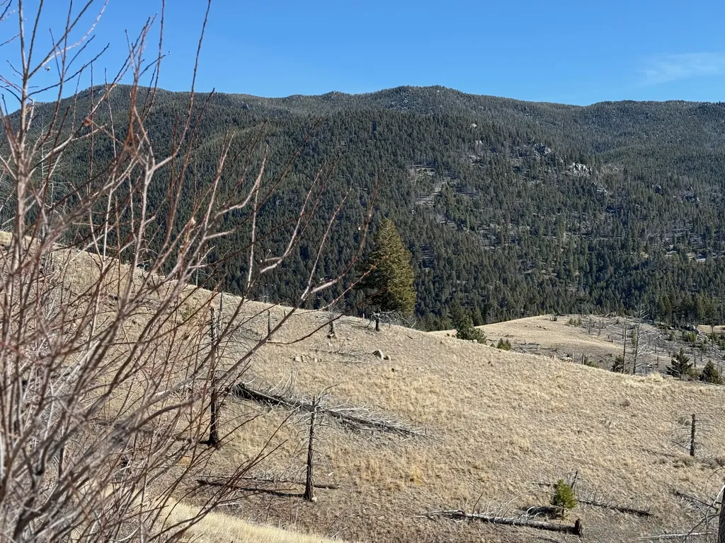 83 Nursery Creek Road Boulder MT 59632