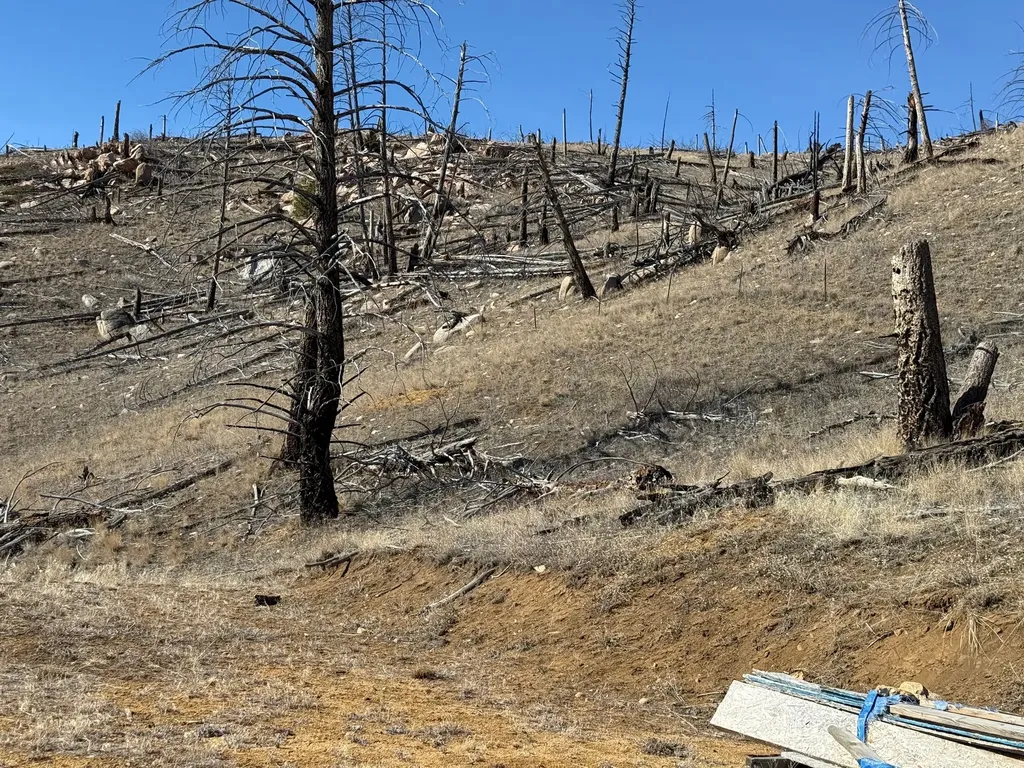 83 Nursery Creek Road Boulder MT 59632