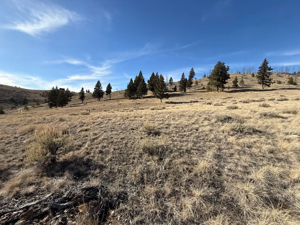 83 Nursery Creek Road Boulder MT 59632