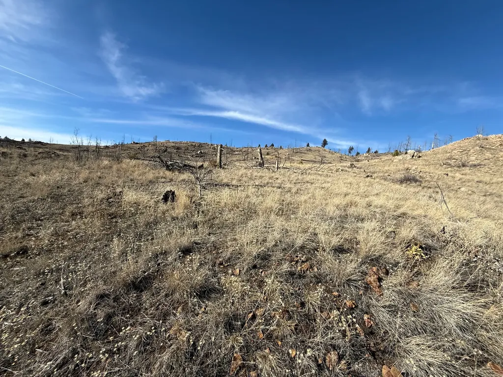 83 Nursery Creek Road Boulder MT 59632