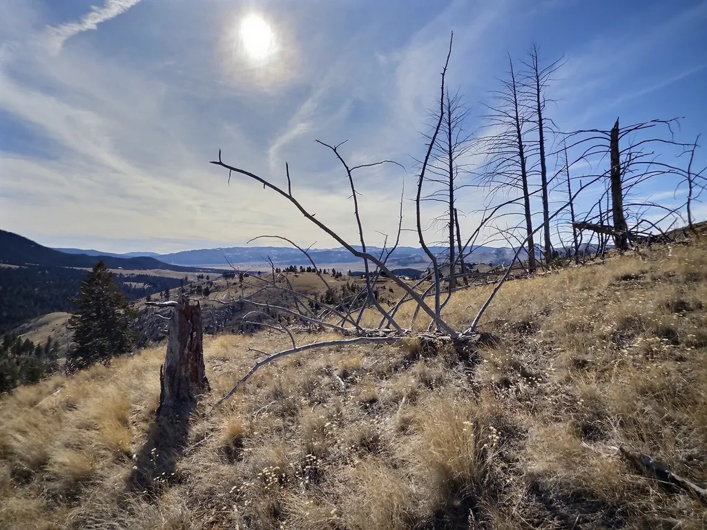 83 Nursery Creek Road Boulder MT 59632