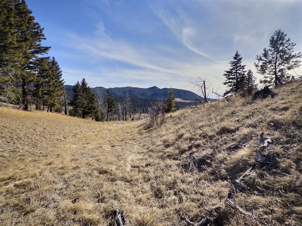 83 Nursery Creek Road Boulder MT 59632