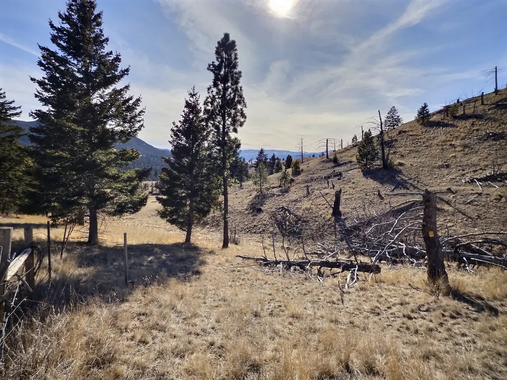 83 Nursery Creek Road Boulder MT 59632