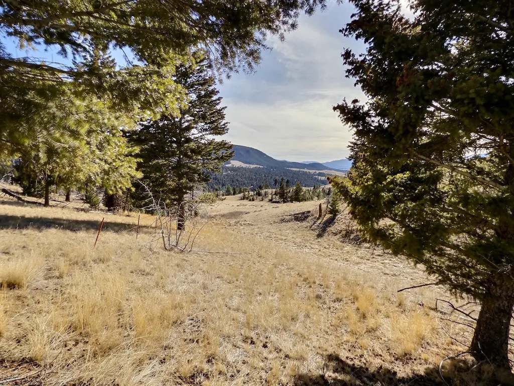 83 Nursery Creek Road Boulder MT 59632