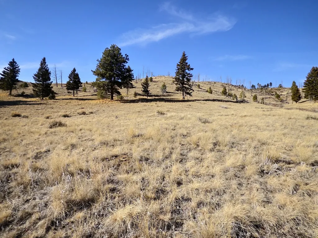 83 Nursery Creek Road Boulder MT 59632
