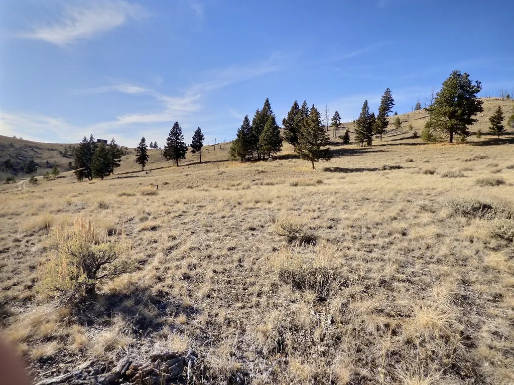 83 Nursery Creek Road Boulder MT 59632