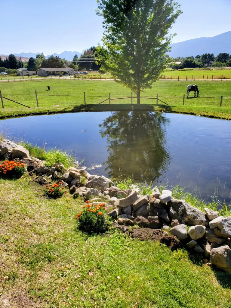 786 Ropin Horse Lane Hamilton MT 59840