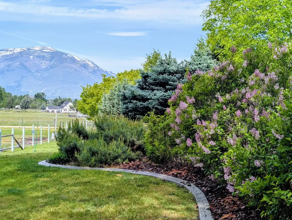 786 Ropin Horse Lane Hamilton MT 59840