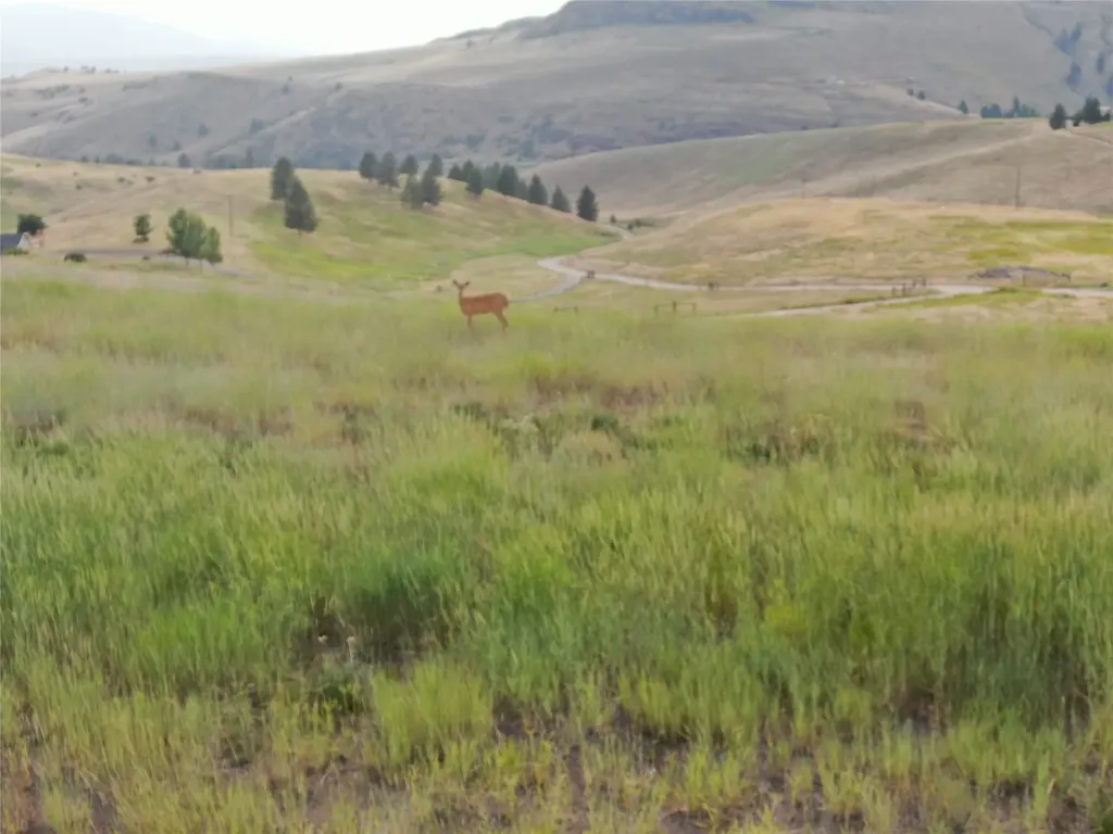 Nhn Deemer Creek Road Plains MT 59859