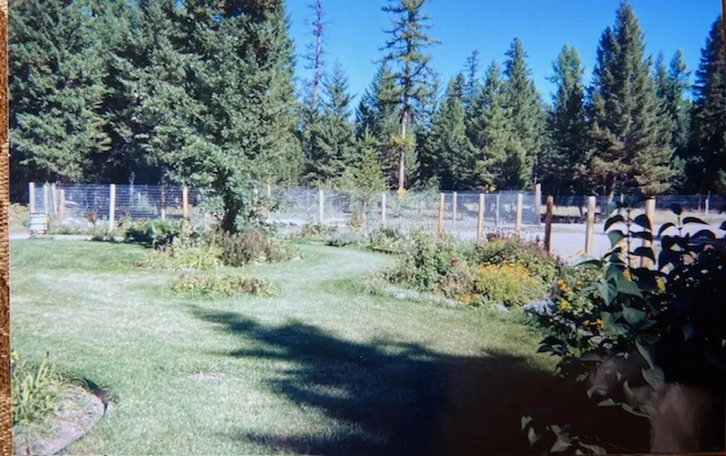 165 Big Lous Lane Condon MT 59826