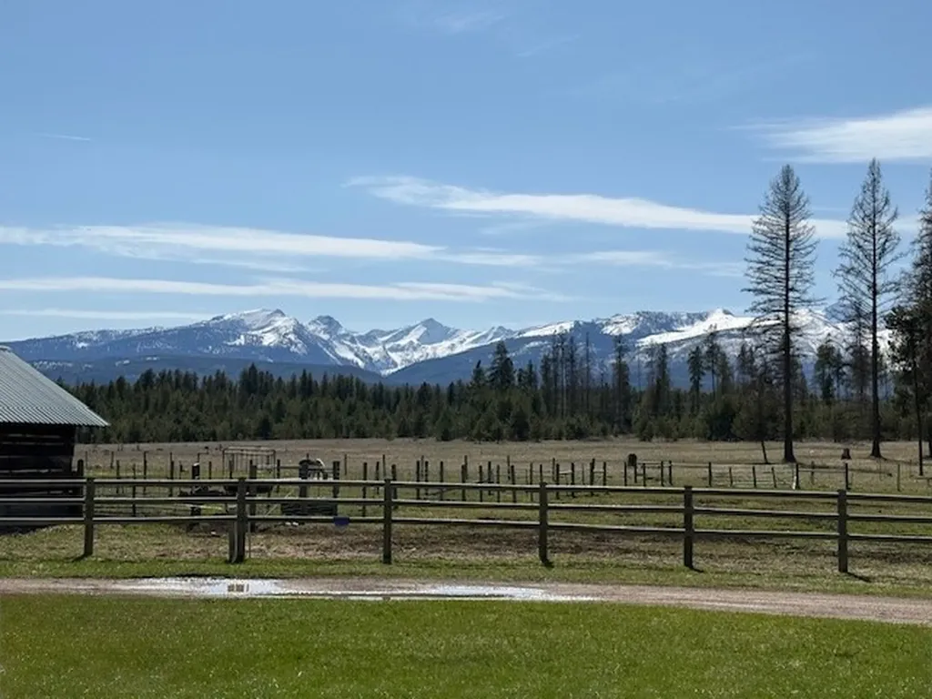 165 Big Lous Lane Condon MT 59826