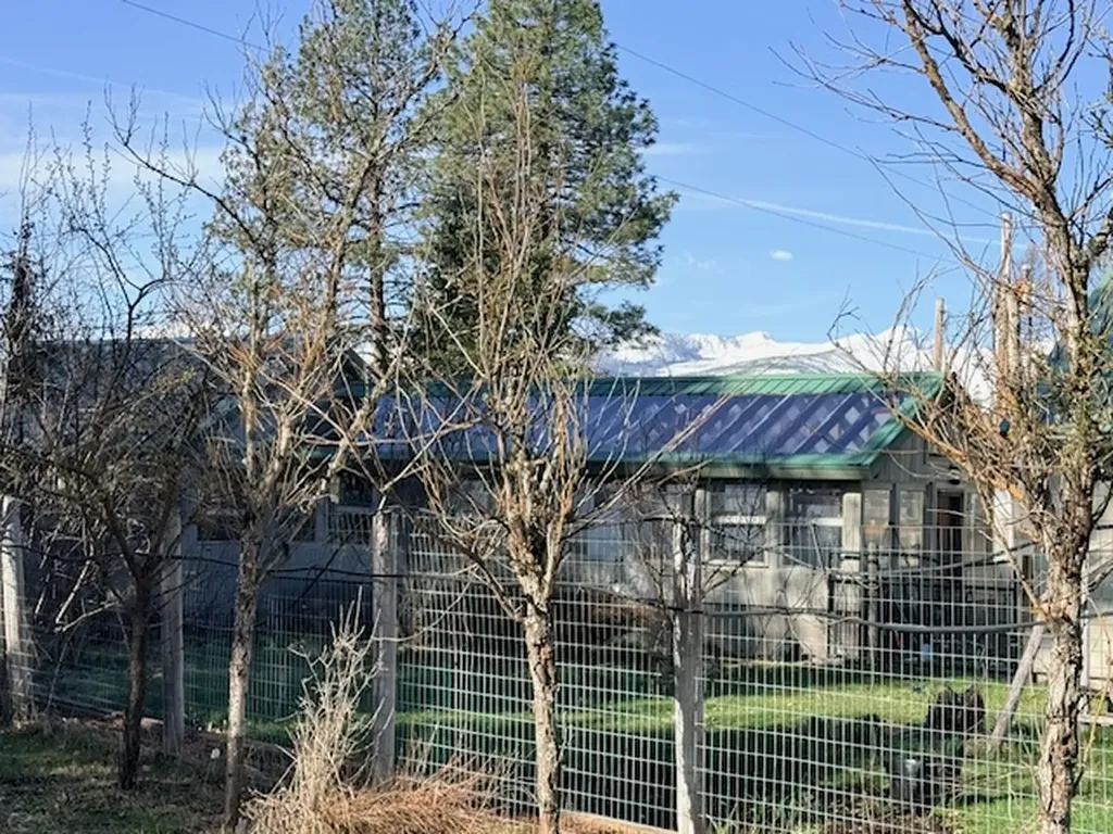 165 Big Lous Lane Condon MT 59826