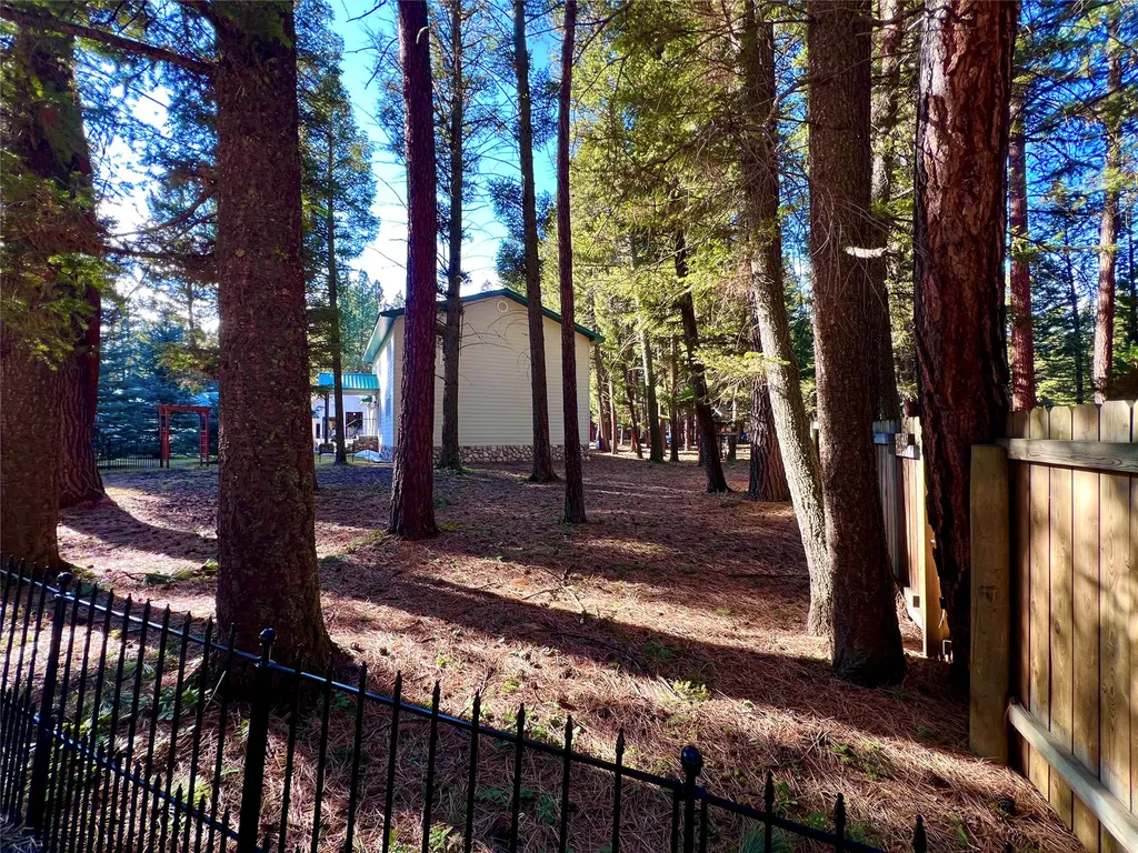 208 4th Avenue Lincoln MT 59639