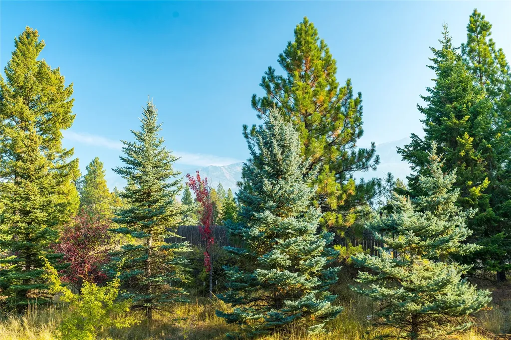 12860 Kelley Drive Bigfork MT 59911