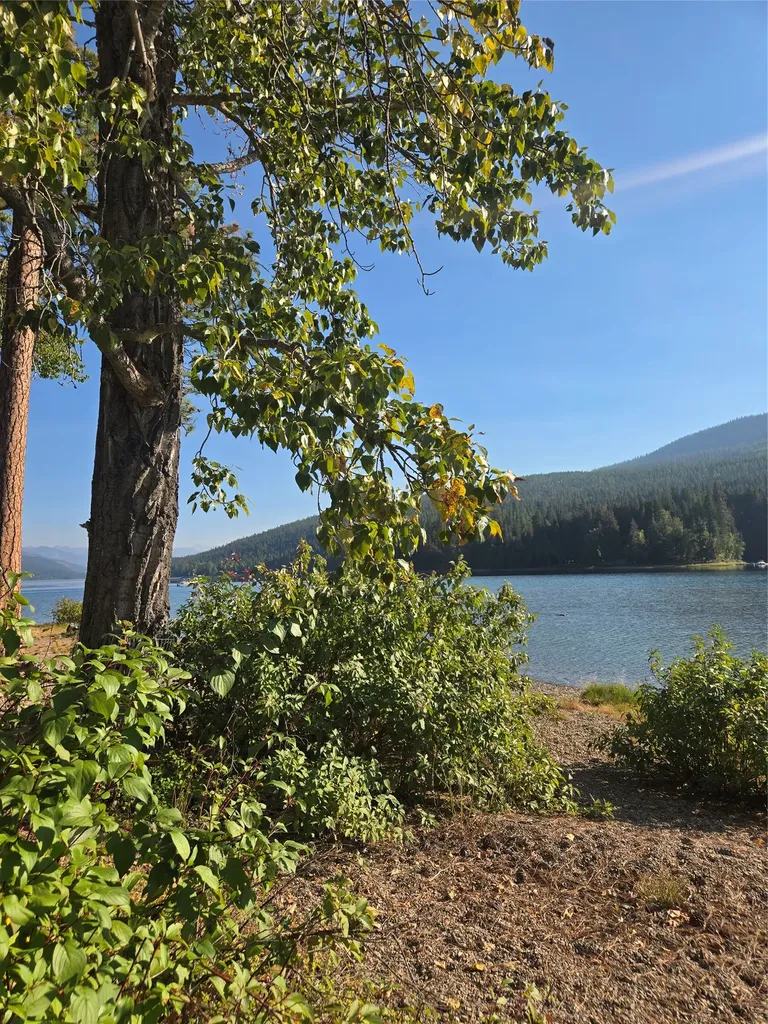 12860 Kelley Drive Bigfork MT 59911
