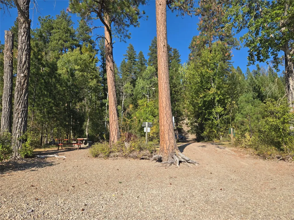 12860 Kelley Drive Bigfork MT 59911