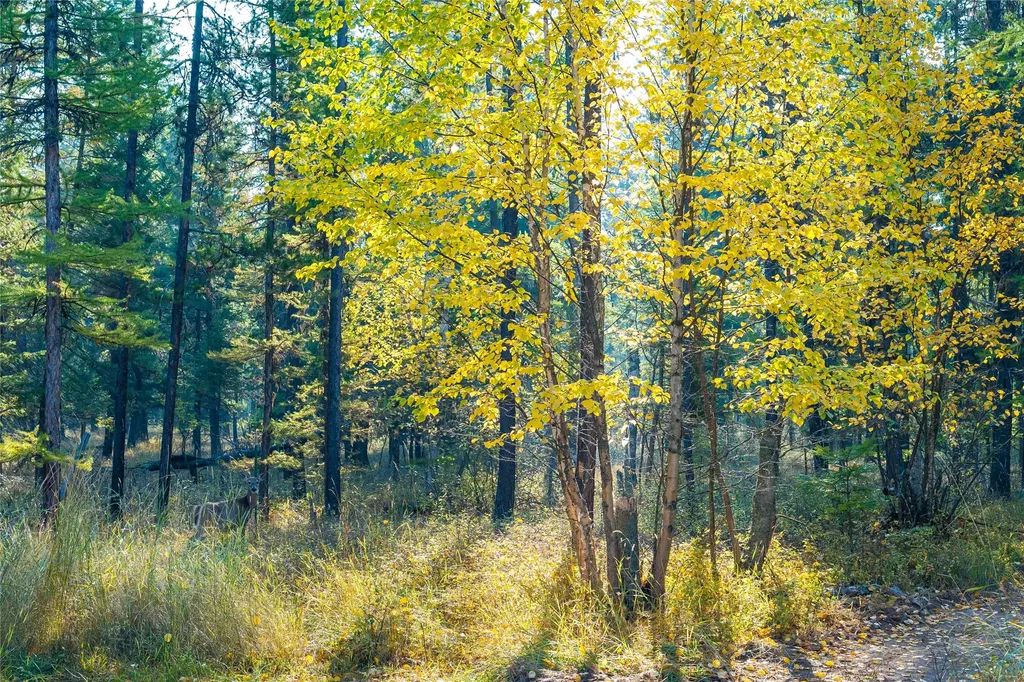 12860 Kelley Drive Bigfork MT 59911