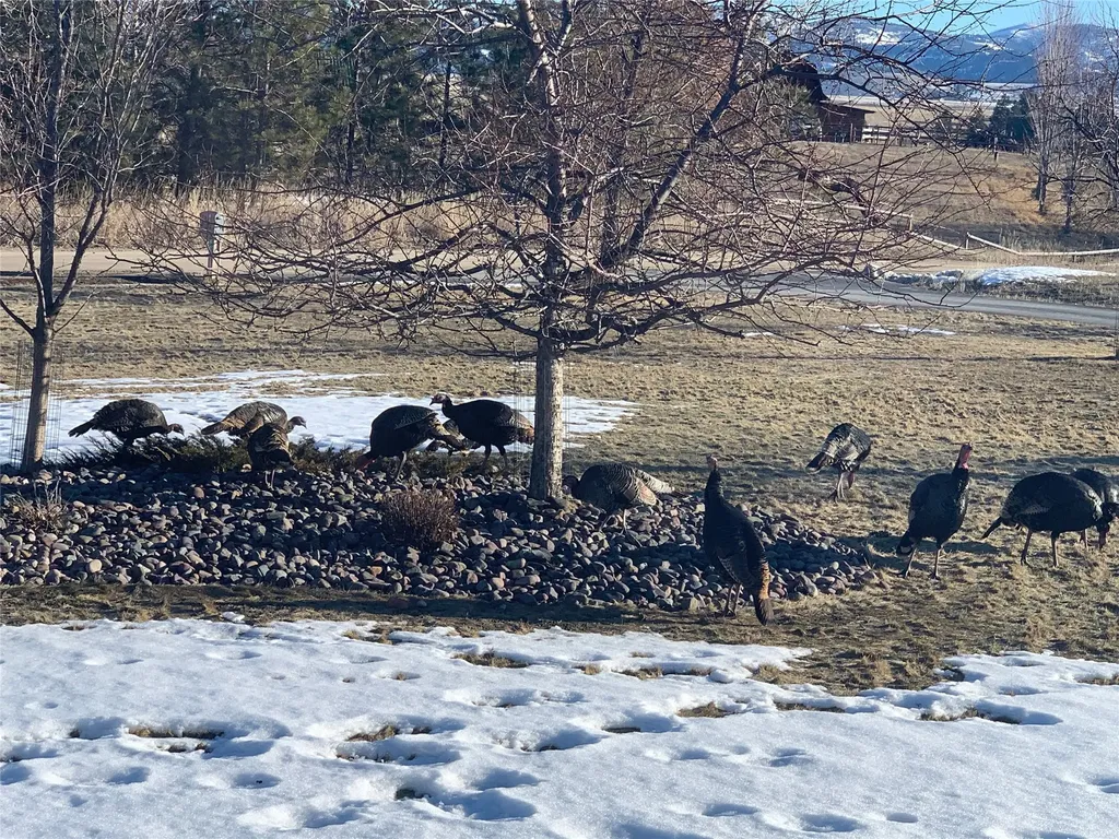 460 Windwalker Trail Stevensville MT 59870