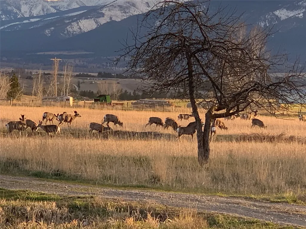 460 Windwalker Trail Stevensville MT 59870