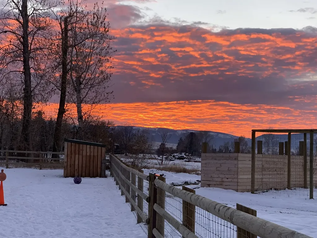 460 Windwalker Trail Stevensville MT 59870
