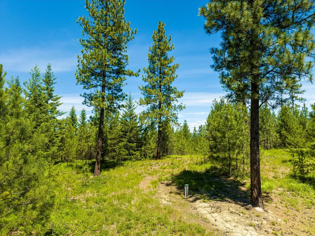 40149 Us Highway 2 W Libby MT 59923