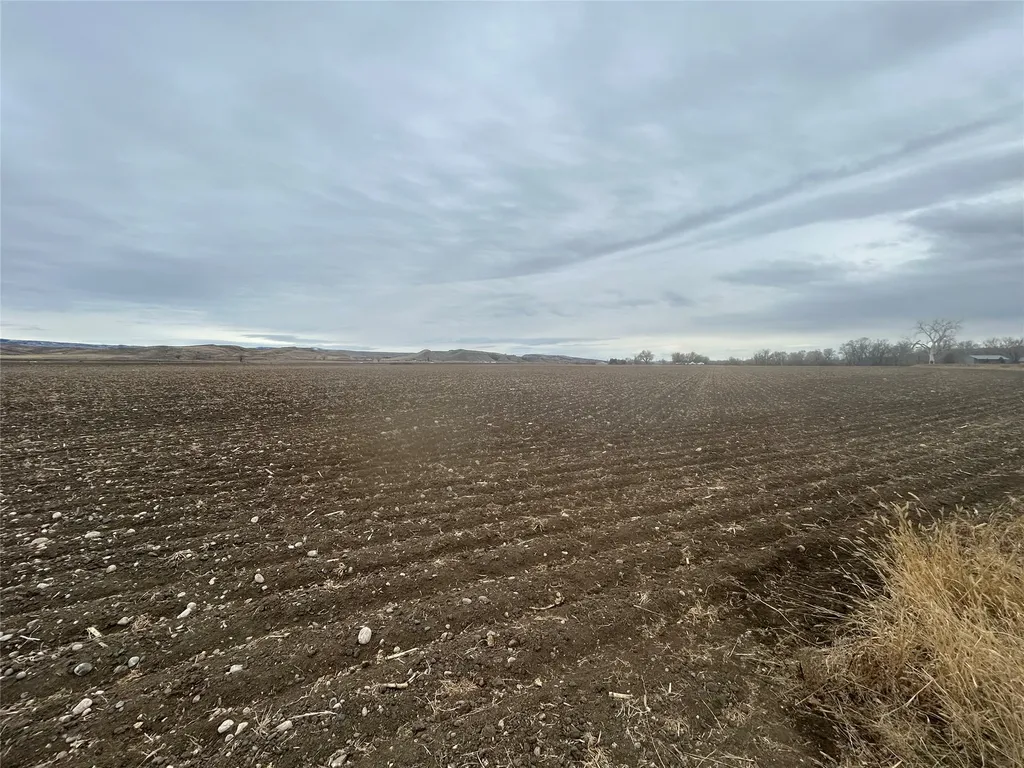Tbd Lower River Road Fromberg MT 59029
