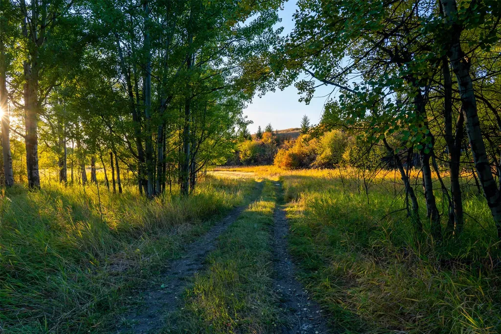 370 Star Ridge Road Bozeman MT 59715
