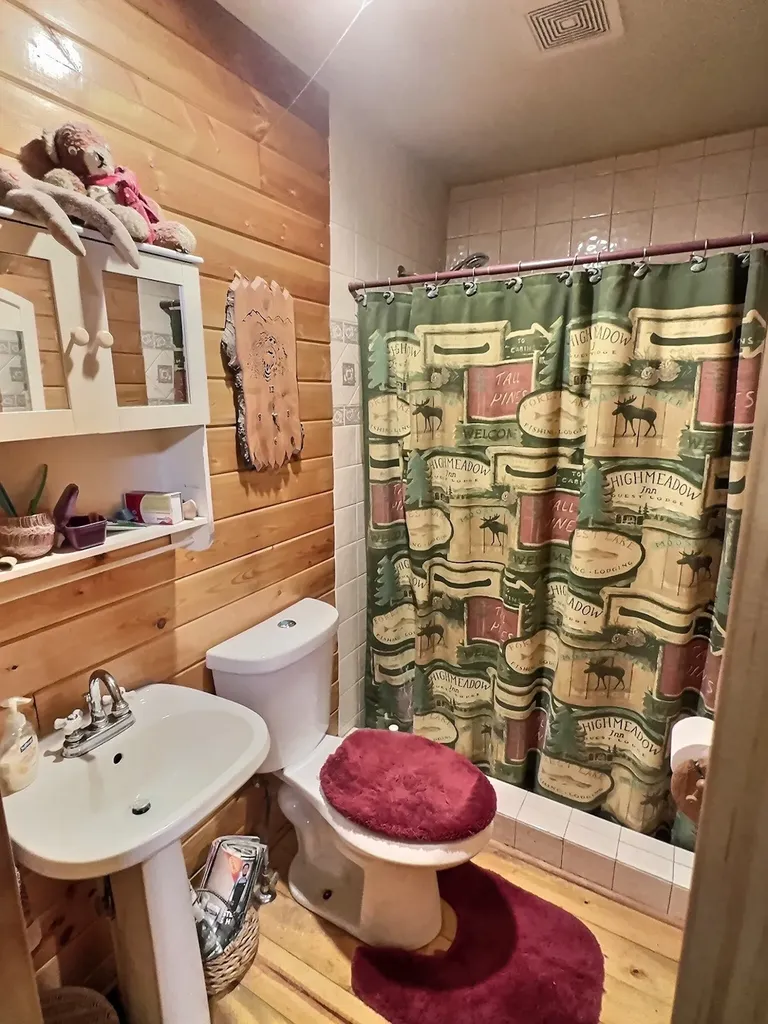 152 Buffalo Bill Road Plains MT 59859