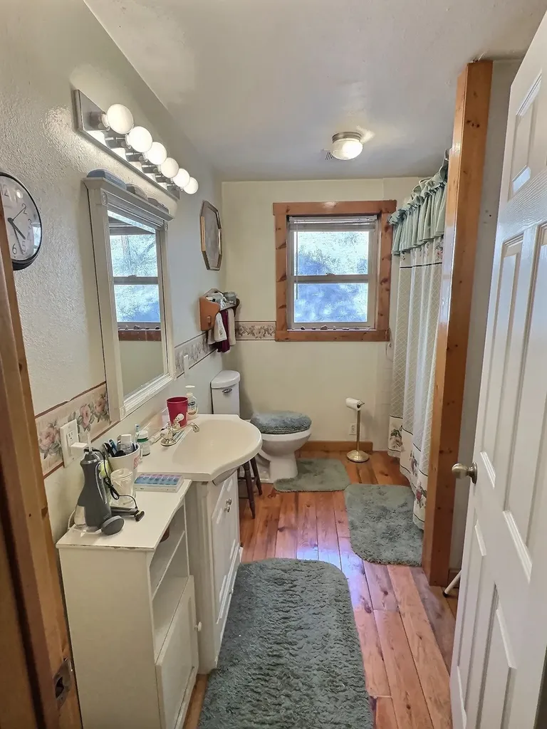 152 Buffalo Bill Road Plains MT 59859