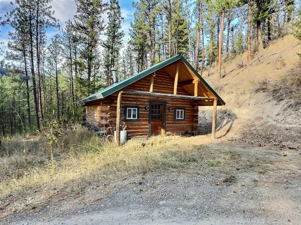 152 Buffalo Bill Road Plains MT 59859