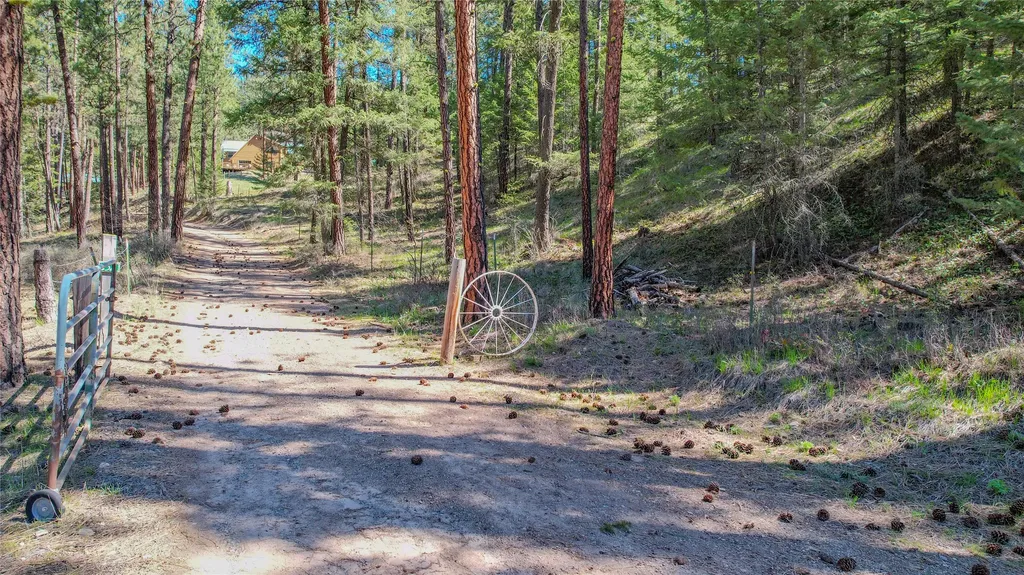 152 Buffalo Bill Road Plains MT 59859
