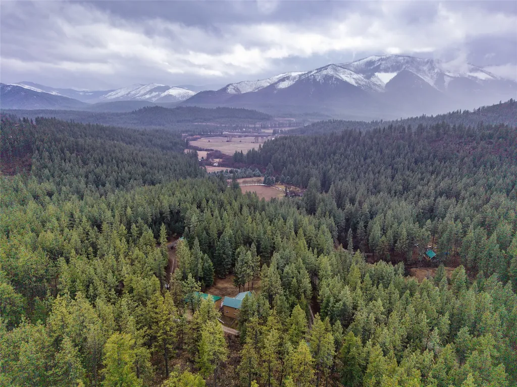 152 Buffalo Bill Road Plains MT 59859