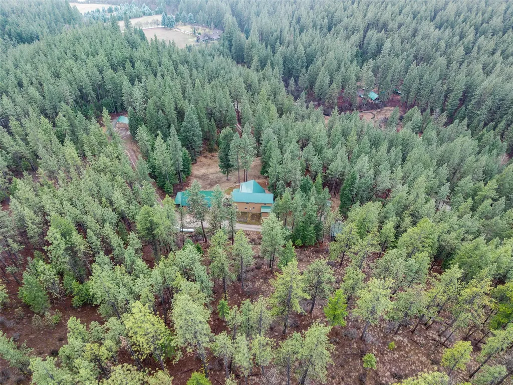 152 Buffalo Bill Road Plains MT 59859