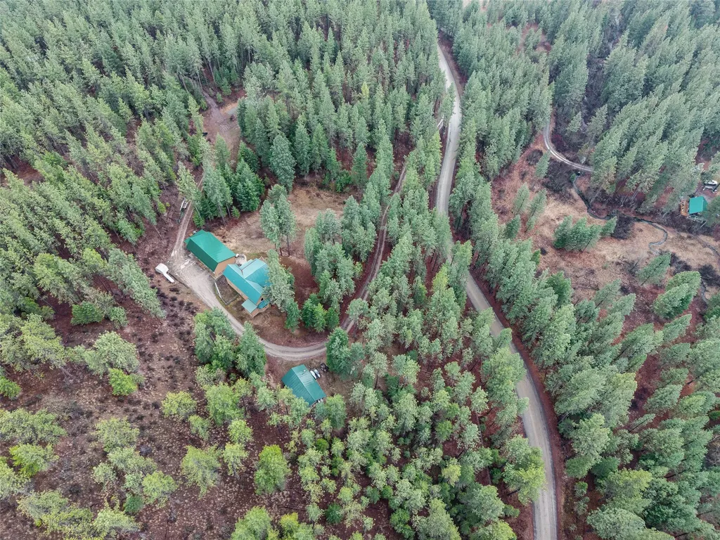 152 Buffalo Bill Road Plains MT 59859
