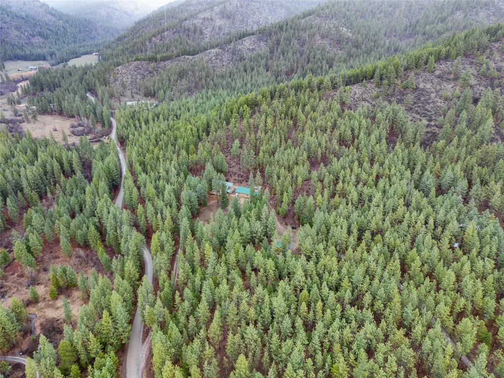 152 Buffalo Bill Road Plains MT 59859