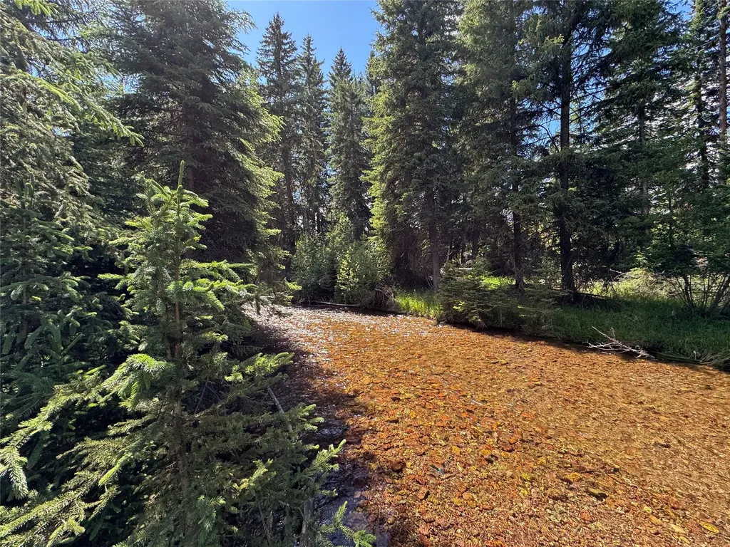 265 N Canyon Drive Seeley Lake MT 59868