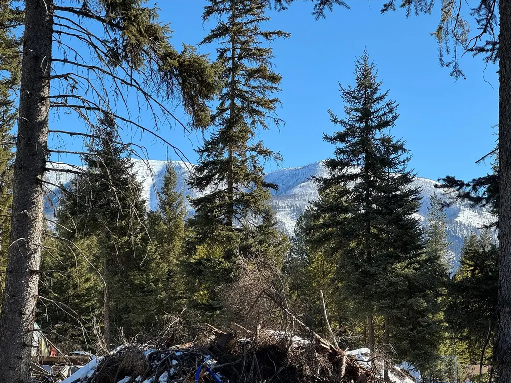 265 N Canyon Drive Seeley Lake MT 59868