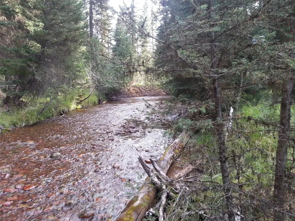 265 N Canyon Drive Seeley Lake MT 59868