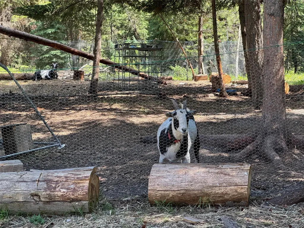 265 N Canyon Drive Seeley Lake MT 59868