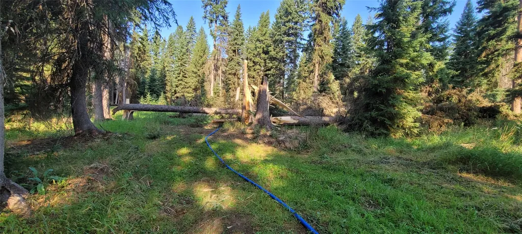 265 N Canyon Drive Seeley Lake MT 59868