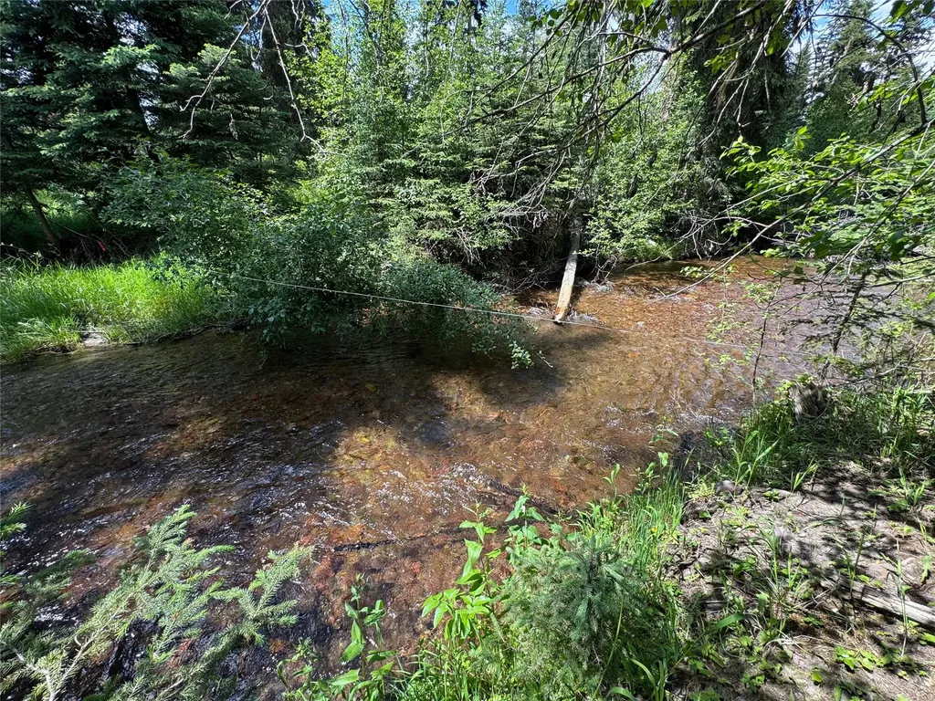 265 N Canyon Drive Seeley Lake MT 59868