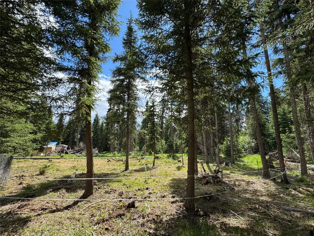 265 N Canyon Drive Seeley Lake MT 59868