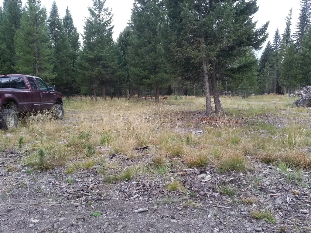 265 N Canyon Drive Seeley Lake MT 59868