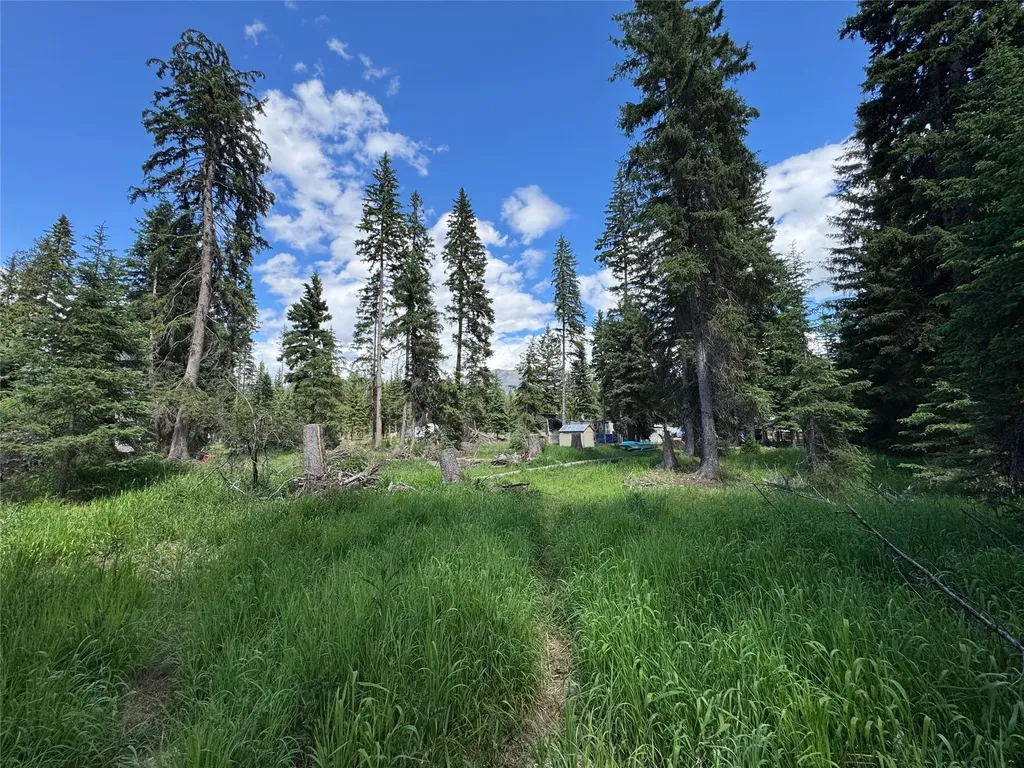 265 N Canyon Drive Seeley Lake MT 59868