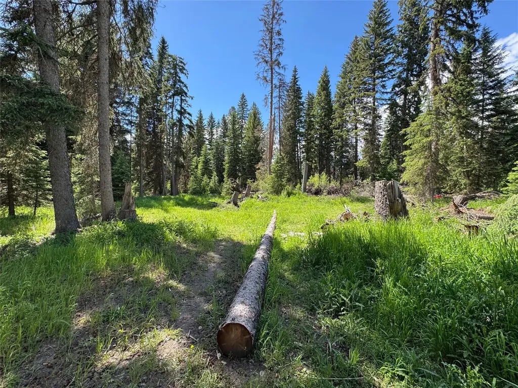 265 N Canyon Drive Seeley Lake MT 59868