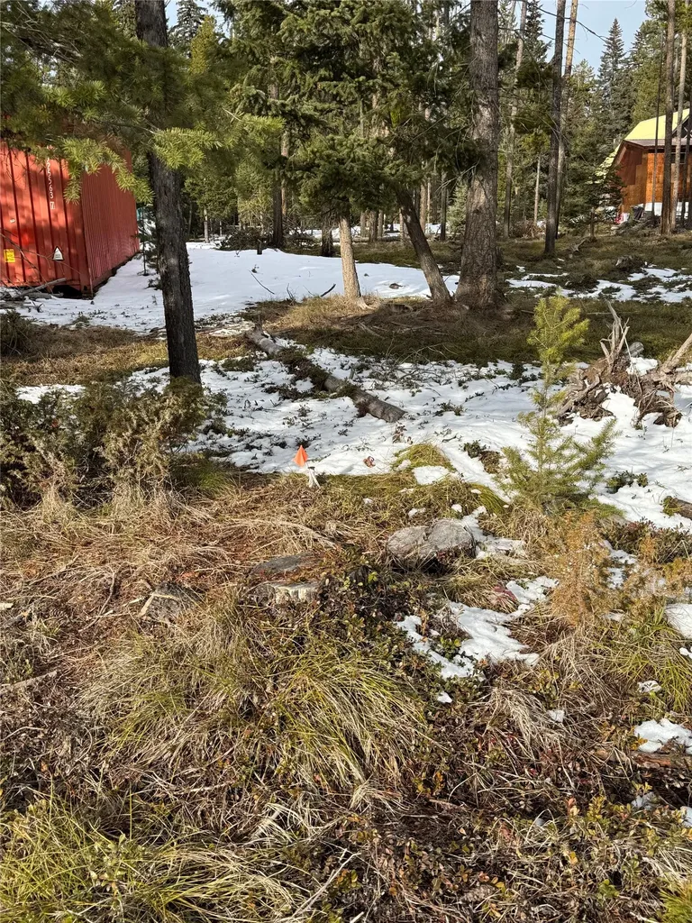 265 N Canyon Drive Seeley Lake MT 59868