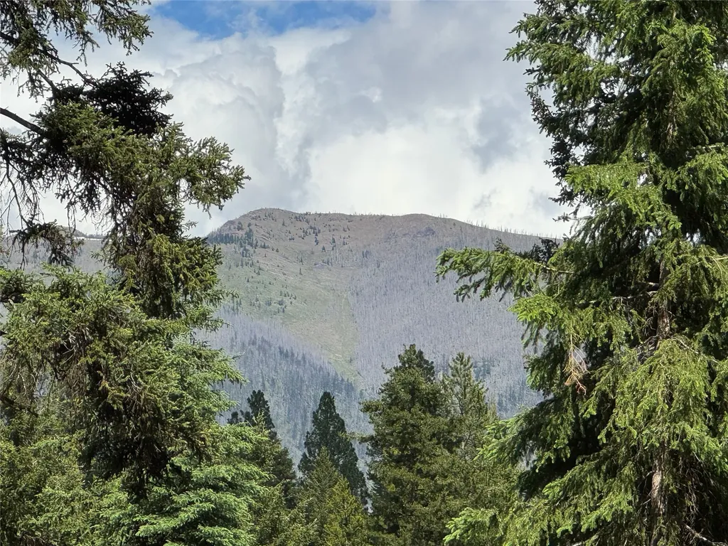 265 N Canyon Drive Seeley Lake MT 59868