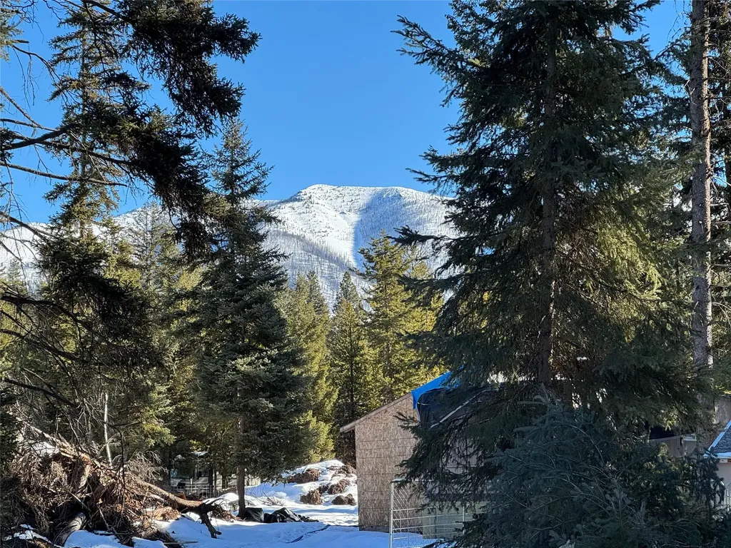 265 N Canyon Drive Seeley Lake MT 59868