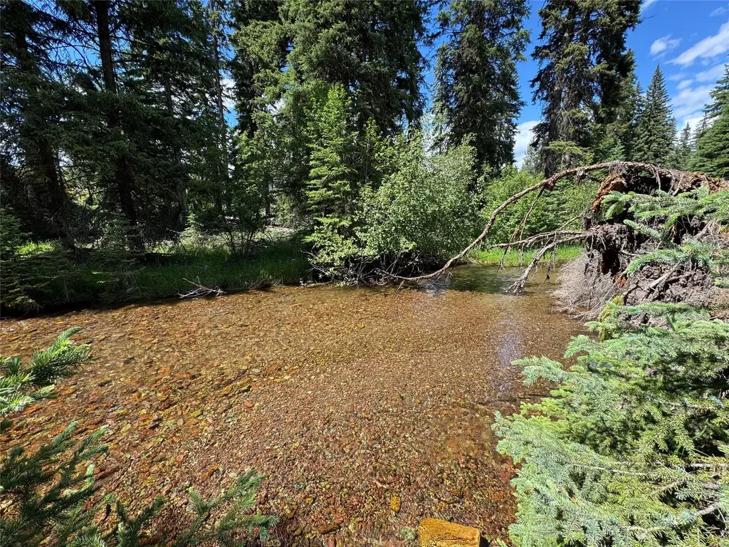 265 N Canyon Drive Seeley Lake MT 59868