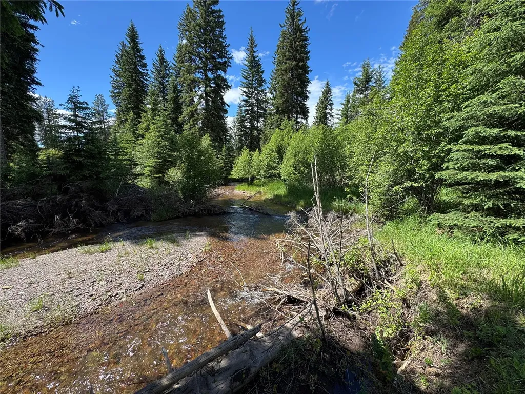 265 N Canyon Drive Seeley Lake MT 59868